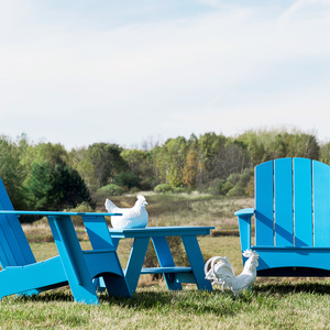 Adirondack Chair (Curved)